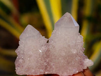 Natural Spirit Quartz Specimens x 36 From Boekenhouthoek, South Africa