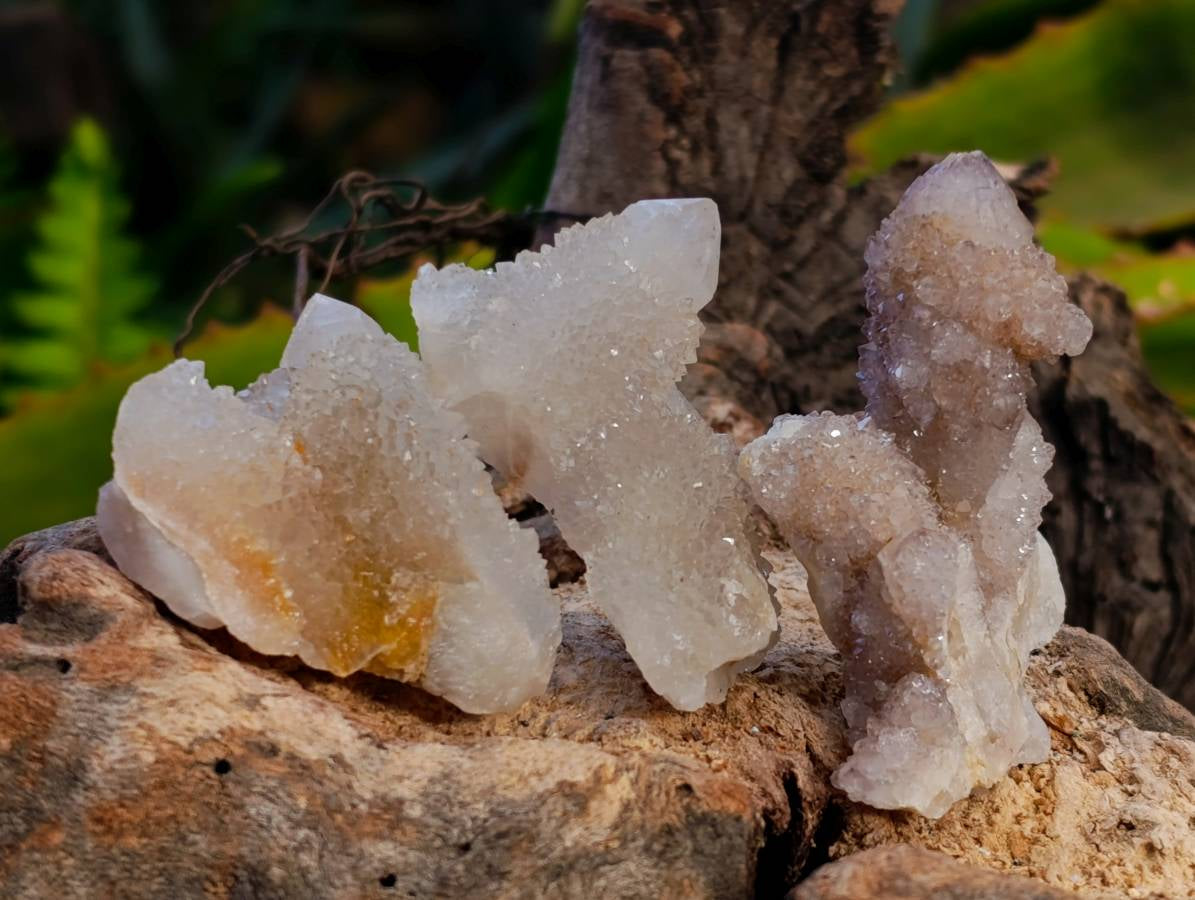 Natural Spirit Quartz Specimens x 36 From Boekenhouthoek, South Africa - Toprock Gemstones and Minerals 