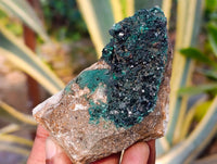 Natural Ball Malachite On Red Dolomite Matrix Specimens x 6 From Likasi, Congo