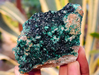 Natural Ball Malachite On Red Dolomite Matrix Specimens x 6 From Likasi, Congo