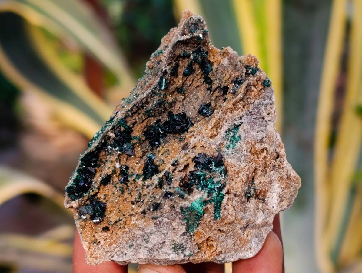 Natural Ball Malachite On Red Dolomite Matrix Specimens x 6 From Likasi, Congo - Toprock Gemstones and Minerals 