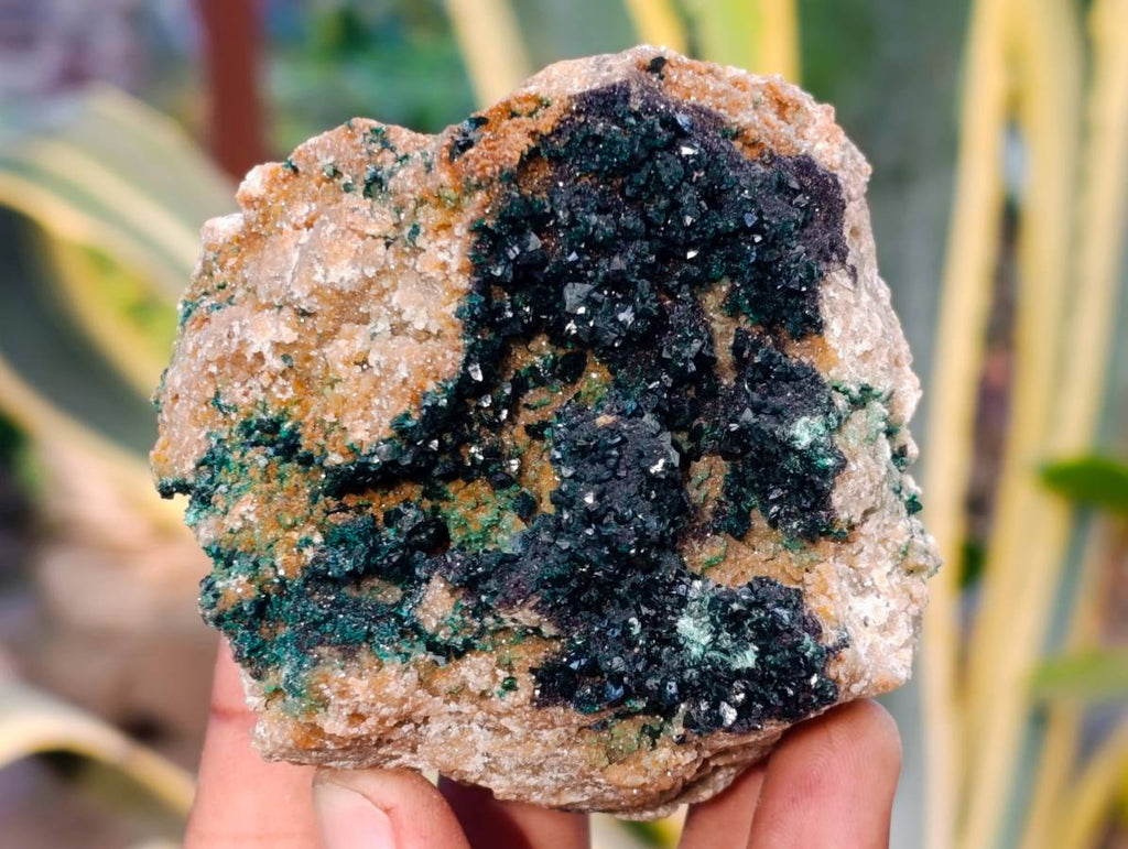 Natural Ball Malachite On Red Dolomite Matrix Specimens x 6 From Likasi, Congo - Toprock Gemstones and Minerals 