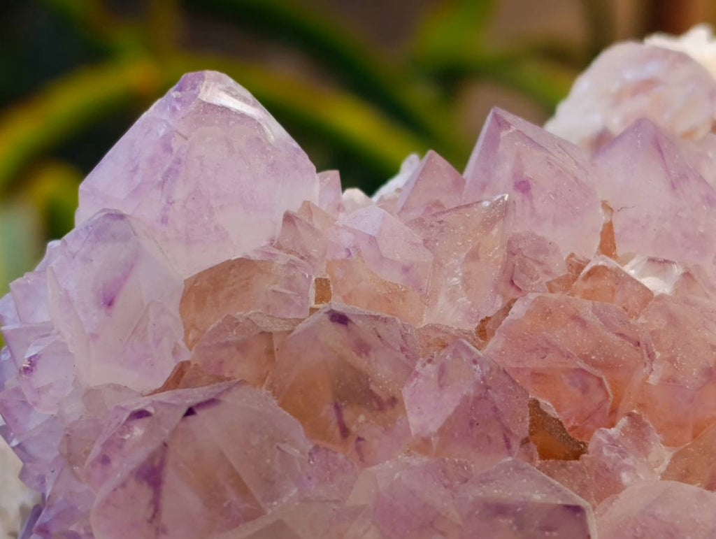 Natural Amethyst Spirit Quartz Cluster x 1 From Boekenhouthoek, South Africa - Toprock Gemstones and Minerals 