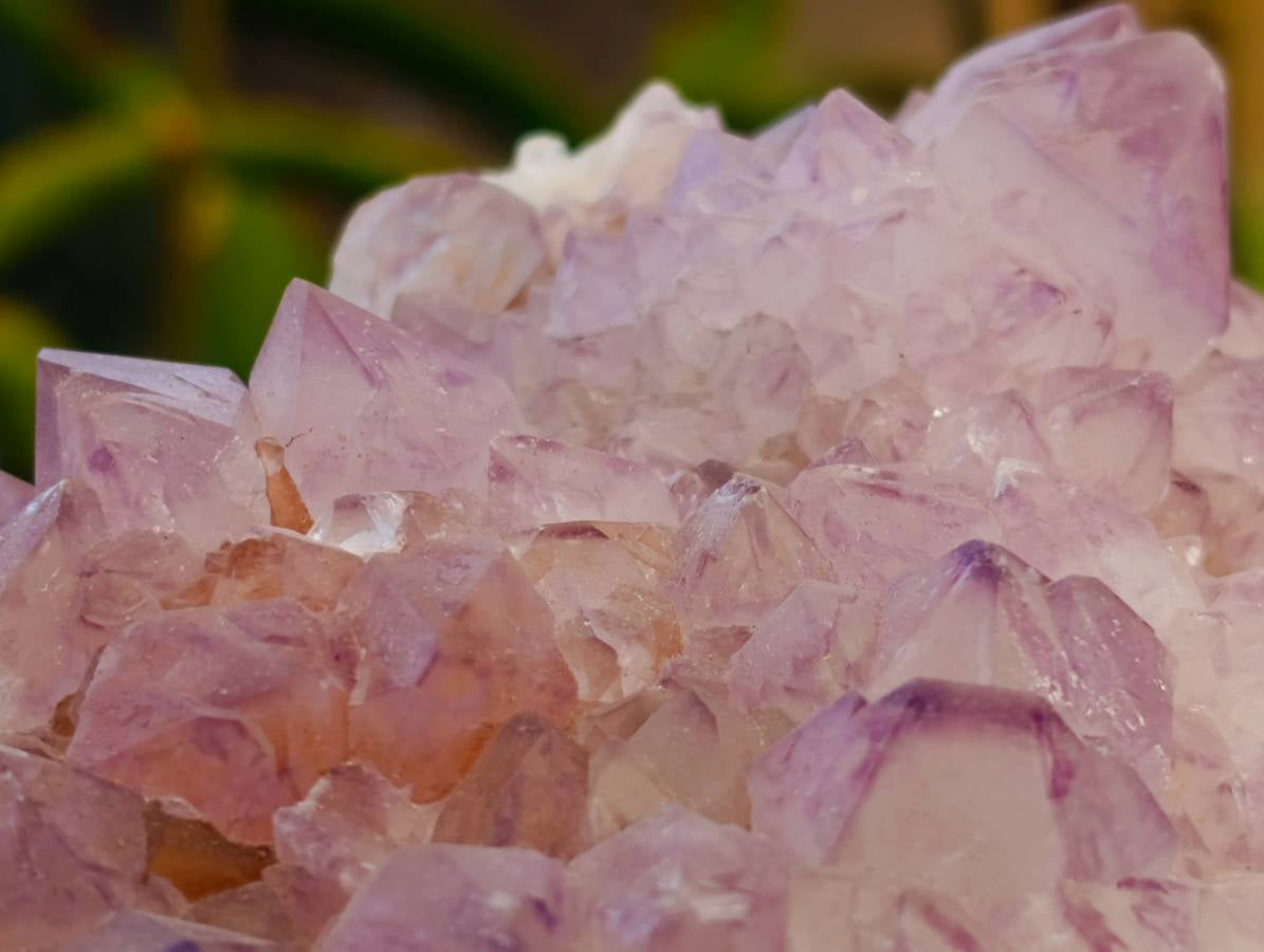 Natural Amethyst Spirit Quartz Cluster x 1 From Boekenhouthoek, South Africa - Toprock Gemstones and Minerals 