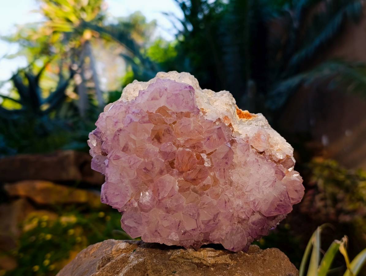 Natural Amethyst Spirit Quartz Cluster x 1 From Boekenhouthoek, South Africa - Toprock Gemstones and Minerals 