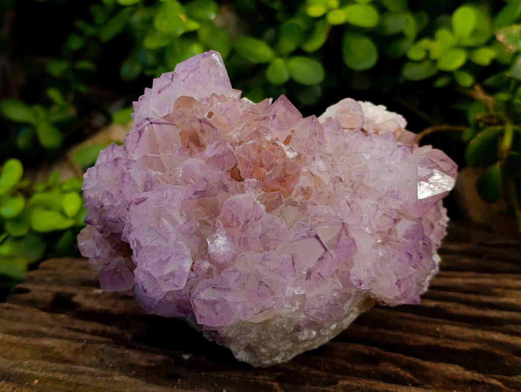 Natural Amethyst Spirit Quartz Cluster x 1 From Boekenhouthoek, South Africa - Toprock Gemstones and Minerals 