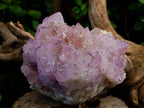 Natural Amethyst Spirit Quartz Cluster x 1 From Boekenhouthoek, South Africa - Toprock Gemstones and Minerals 