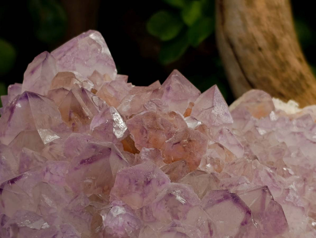 Natural Amethyst Spirit Quartz Cluster x 1 From Boekenhouthoek, South Africa - Toprock Gemstones and Minerals 