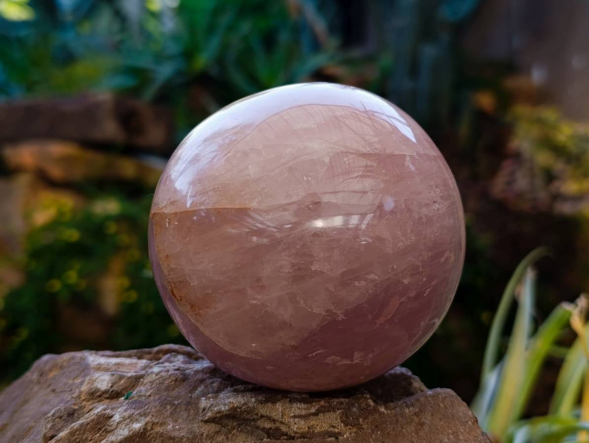 Polished Rose Quartz Sphere x 1 Madagascar - Toprock Gemstones and Minerals 