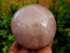 Polished Rose Quartz Sphere x 1 Madagascar - Toprock Gemstones and Minerals 