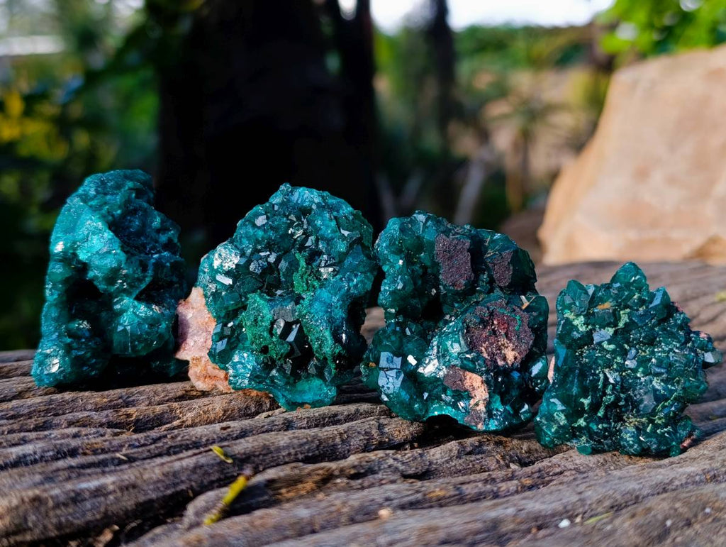 Natural Dioptase On Dolomite with Malachite Specimens x 12 From Likasi, Congo - Toprock Gemstones and Minerals 
