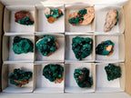Natural Dioptase On Dolomite with Malachite Specimens x 12 From Likasi, Congo - Toprock Gemstones and Minerals 