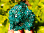 Natural Dioptase On Dolomite with Malachite Specimens x 12 From Likasi, Congo - Toprock Gemstones and Minerals 