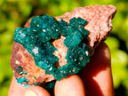 Natural Dioptase On Dolomite with Malachite Specimens x 12 From Likasi, Congo - Toprock Gemstones and Minerals 