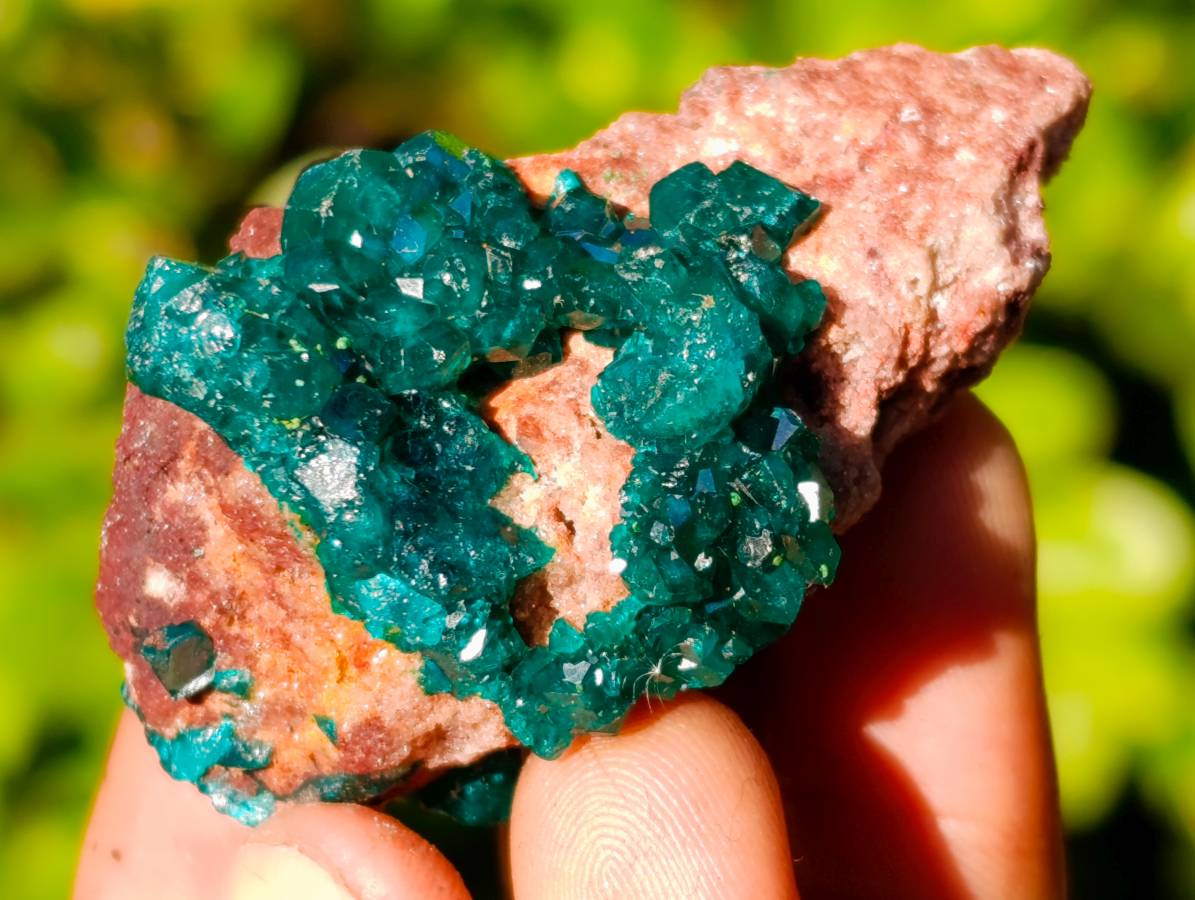 Natural Dioptase On Dolomite with Malachite Specimens x 12 From Likasi, Congo - Toprock Gemstones and Minerals 