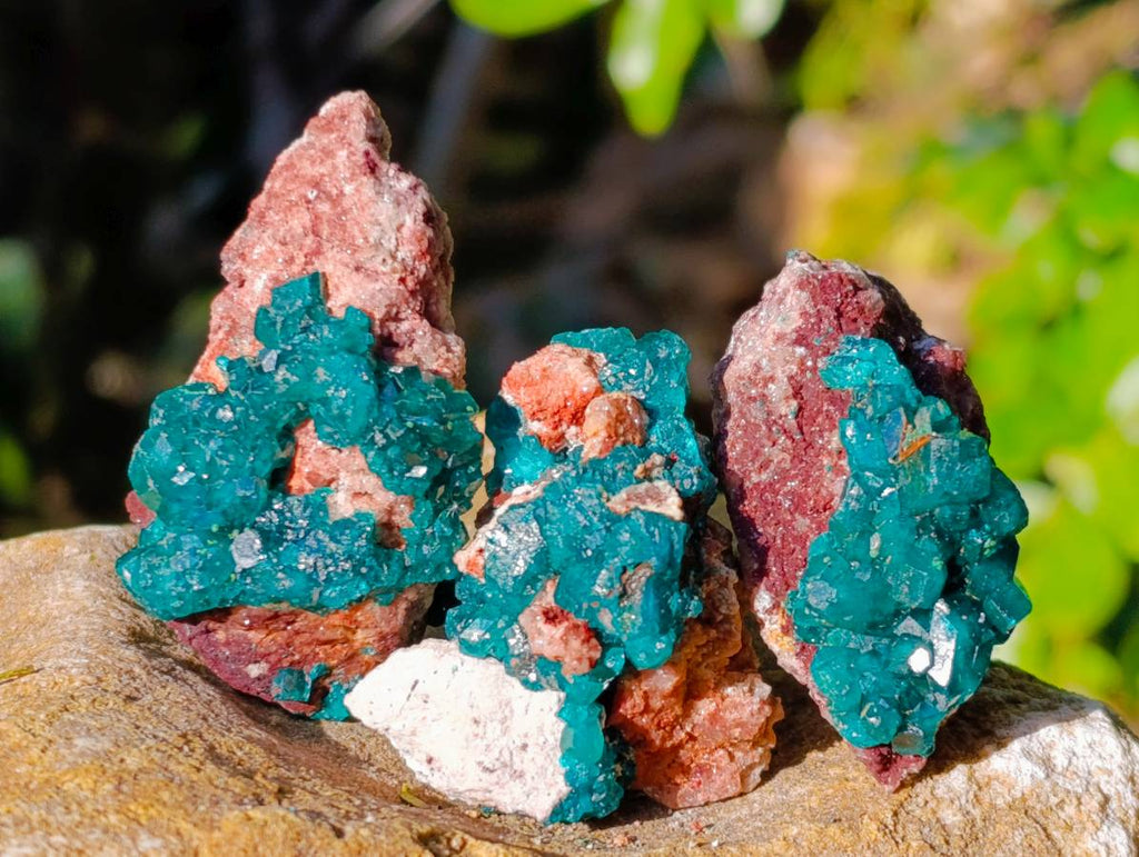 Natural Dioptase On Dolomite with Malachite Specimens x 12 From Likasi, Congo - Toprock Gemstones and Minerals 