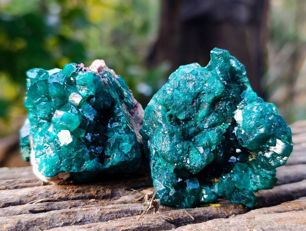 Natural Dioptase On Dolomite with Malachite Specimens x 12 From Likasi, Congo - Toprock Gemstones and Minerals 