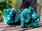 Natural Dioptase On Dolomite with Malachite Specimens x 12 From Likasi, Congo - Toprock Gemstones and Minerals 