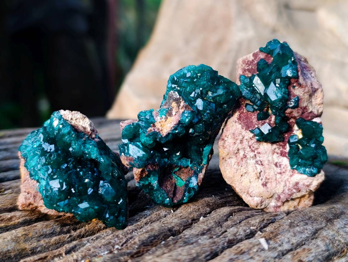 Natural Dioptase On Dolomite with Malachite Specimens x 12 From Likasi, Congo - Toprock Gemstones and Minerals 