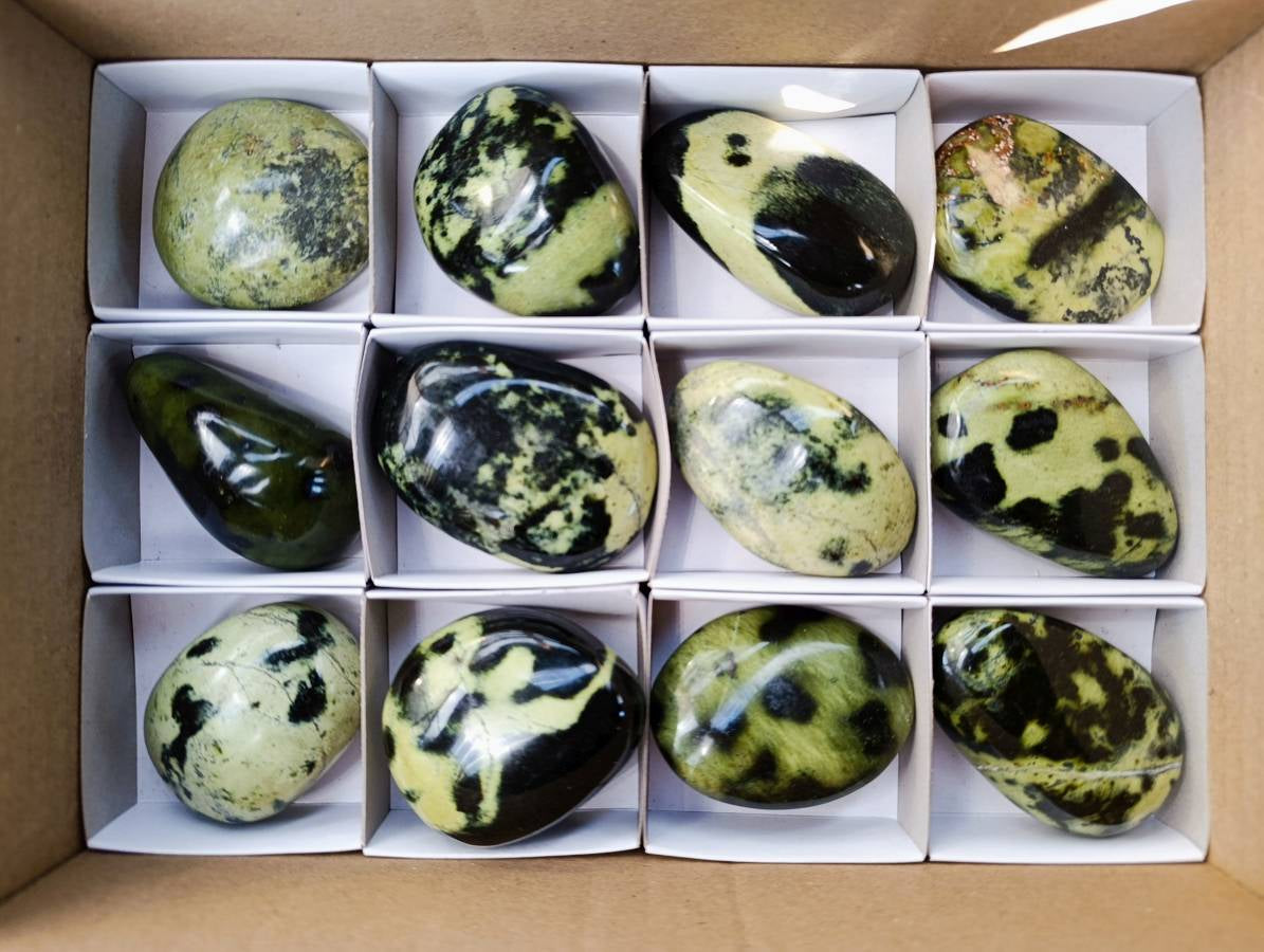 Polished Leopard Stone Free Forms x 12 From Zimbabwe - Toprock Gemstones and Minerals 