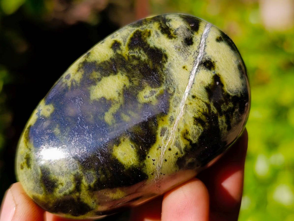 Polished Leopard Stone Free Forms x 12 From Zimbabwe - Toprock Gemstones and Minerals 