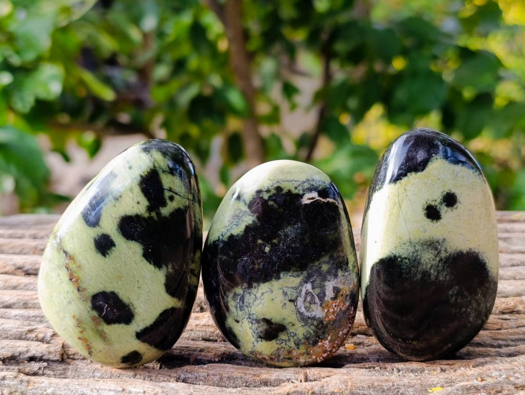 Polished Leopard Stone Free Forms x 12 From Zimbabwe - Toprock Gemstones and Minerals 