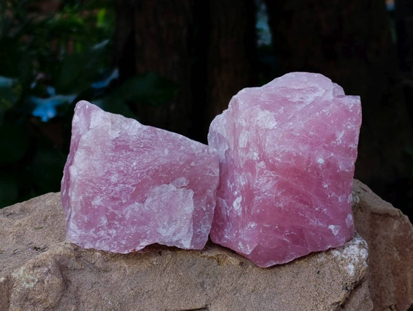 Natural Cobbed Rose Quartz Specimens x 12 From Northern Cape, South Africa - Toprock Gemstones and Minerals 