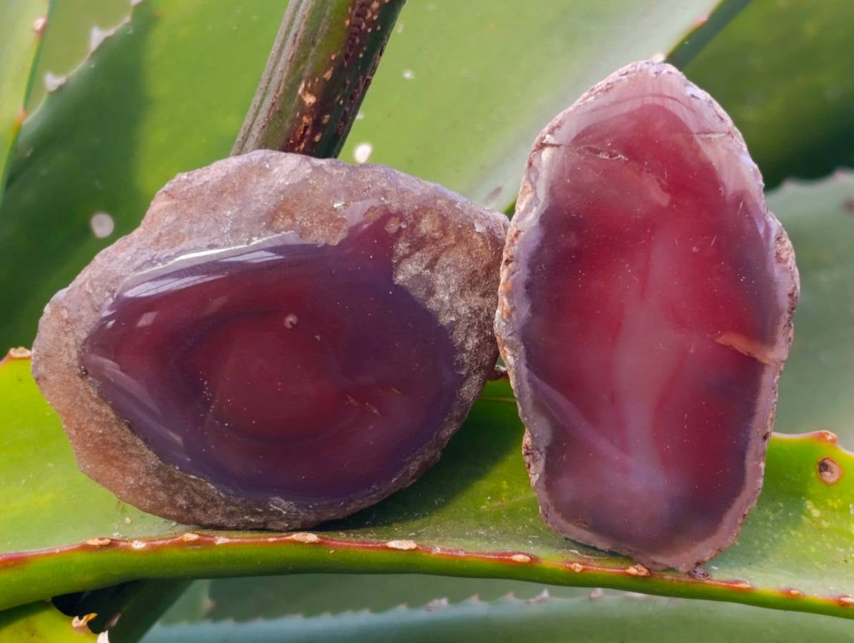 Polished Red Sashe River Agate Nodules x 20 From Sashe River, Zimbabwe - Toprock Gemstones and Minerals 