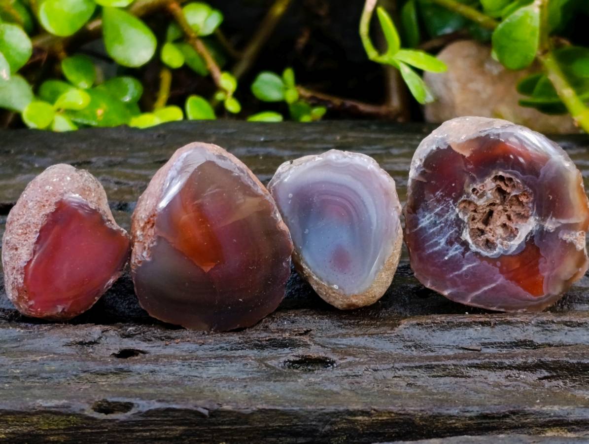 Polished Red Sashe River Agate Nodules x 20 From Sashe River, Zimbabwe - Toprock Gemstones and Minerals 