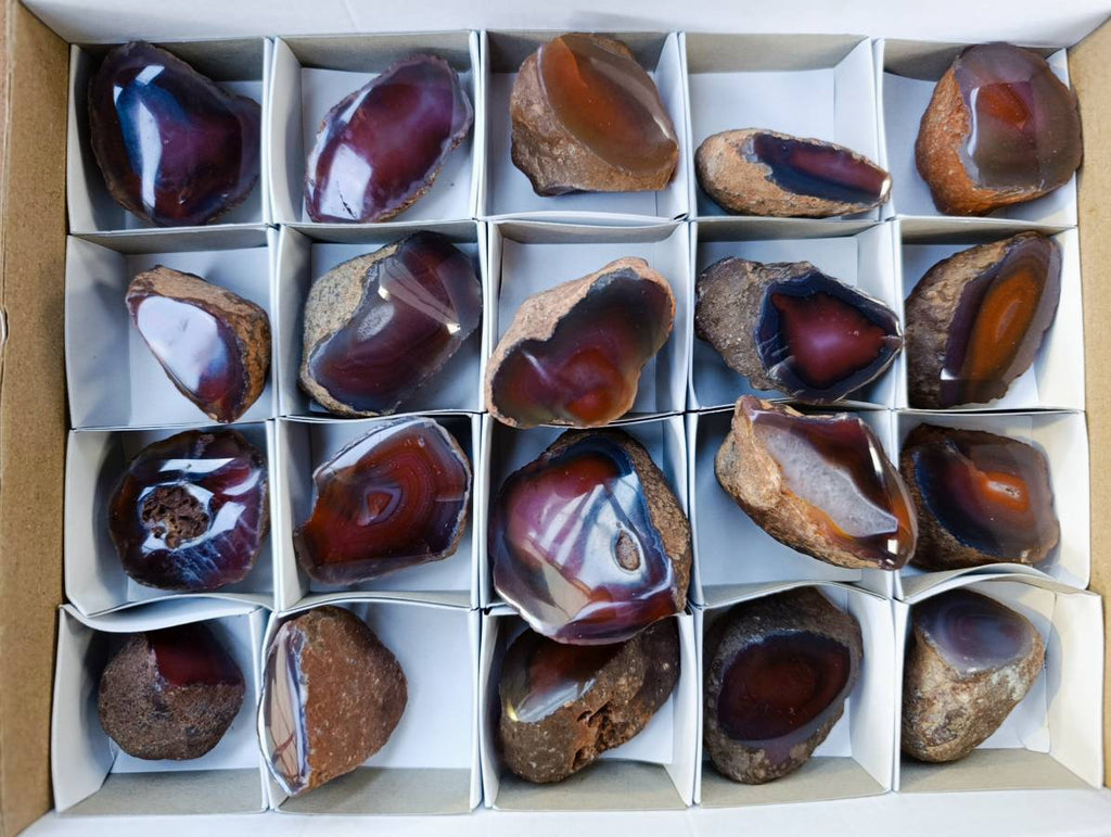 Polished Red Sashe River Agate Nodules x 20 From Sashe River, Zimbabwe - Toprock Gemstones and Minerals 