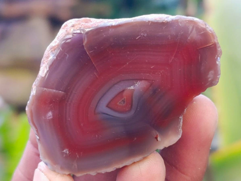 Polished Red Sashe River Agate Nodules x 20 From Sashe River, Zimbabwe - Toprock Gemstones and Minerals 