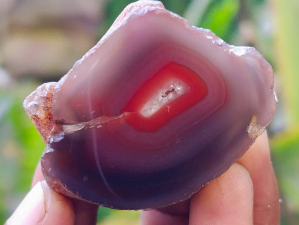 Polished Red Sashe River Agate Nodules x 20 From Sashe River, Zimbabwe - Toprock Gemstones and Minerals 