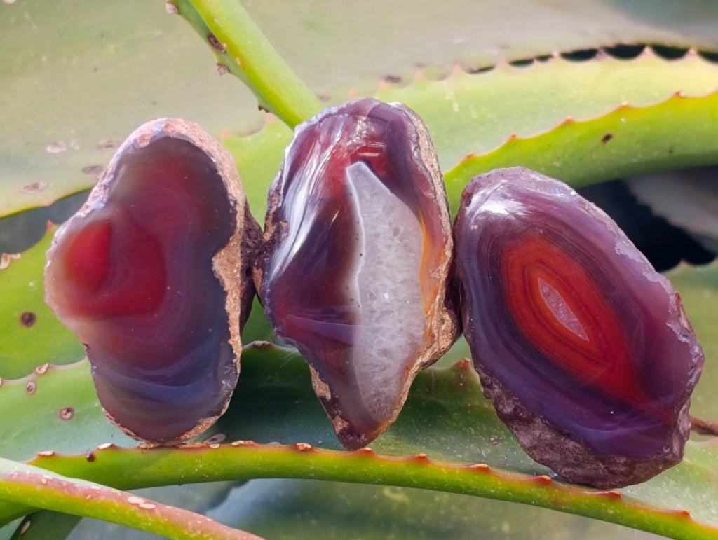 Polished Red Sashe River Agate Nodules x 20 From Sashe River, Zimbabwe - Toprock Gemstones and Minerals 