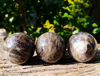 Polished Smokey Quartz Spheres x 3 From Madagascar - Toprock Gemstones and Minerals 