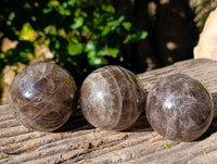 Polished Smokey Quartz Spheres x 3 From Madagascar - Toprock Gemstones and Minerals 