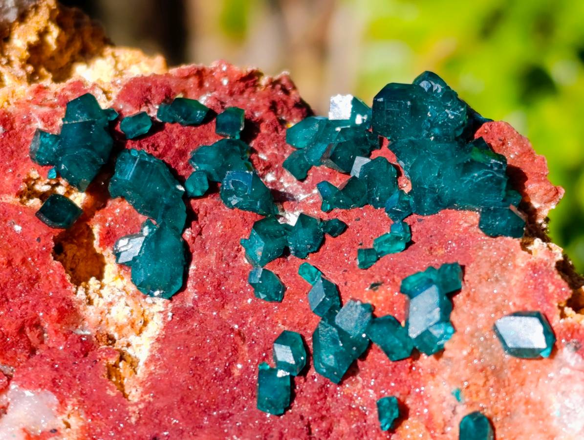 Natural Dioptase On Dolomite Specimen x 1 From Likasi, Congo - Toprock Gemstones and Minerals 