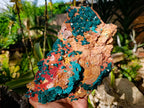 Natural Dioptase On Dolomite Specimen x 1 From Likasi, Congo - Toprock Gemstones and Minerals 