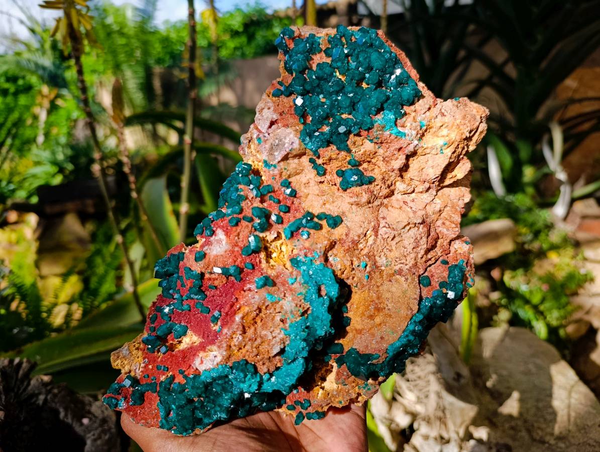 Natural Dioptase On Dolomite Specimen x 1 From Likasi, Congo - Toprock Gemstones and Minerals 