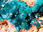 Natural Dioptase On Dolomite Specimen x 1 From Likasi, Congo - Toprock Gemstones and Minerals 