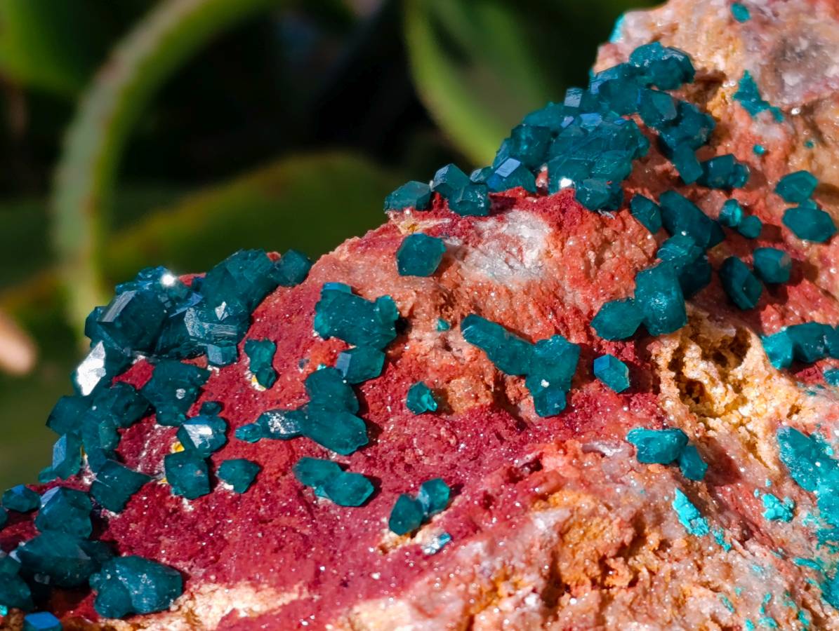 Natural Dioptase On Dolomite Specimen x 1 From Likasi, Congo - Toprock Gemstones and Minerals 