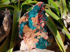 Natural Dioptase On Dolomite Specimen x 1 From Likasi, Congo - Toprock Gemstones and Minerals 