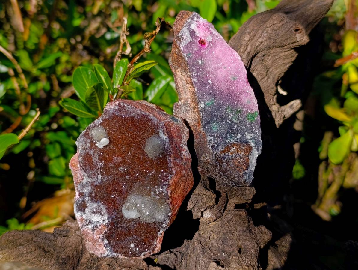 Natural Salrose Cobaltion Dolomite Specimens x 6 From Kakanda, Congo - Toprock Gemstones and Minerals 