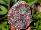 Natural Salrose Cobaltion Dolomite Specimens x 6 From Kakanda, Congo - Toprock Gemstones and Minerals 