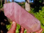 Polished Rose Quartz Double Terminated Points x 4 From Madagascar - Toprock Gemstones and Minerals 