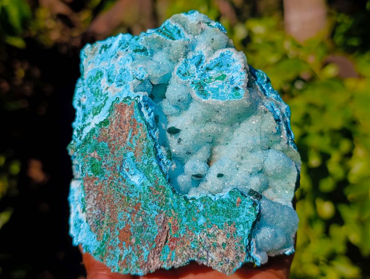 Natural Drusy Coated Chrysocolla with Malachite Specimens x 2 From Lupoto Mine, Congo - Toprock Gemstones and Minerals 