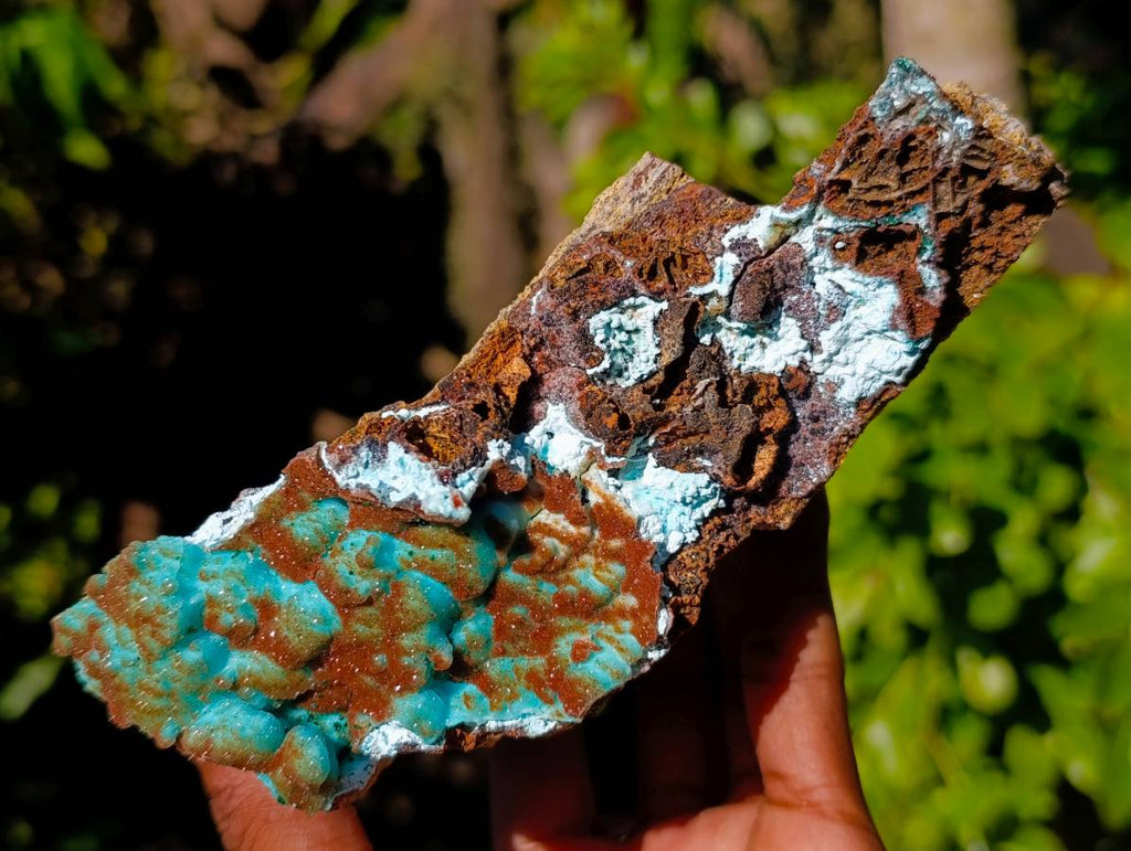 Natural Drusy Coated Chrysocolla with Malachite Specimens x 2 From Lupoto Mine, Congo - Toprock Gemstones and Minerals 