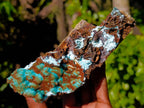 Natural Drusy Coated Chrysocolla with Malachite Specimens x 2 From Lupoto Mine, Congo - Toprock Gemstones and Minerals 