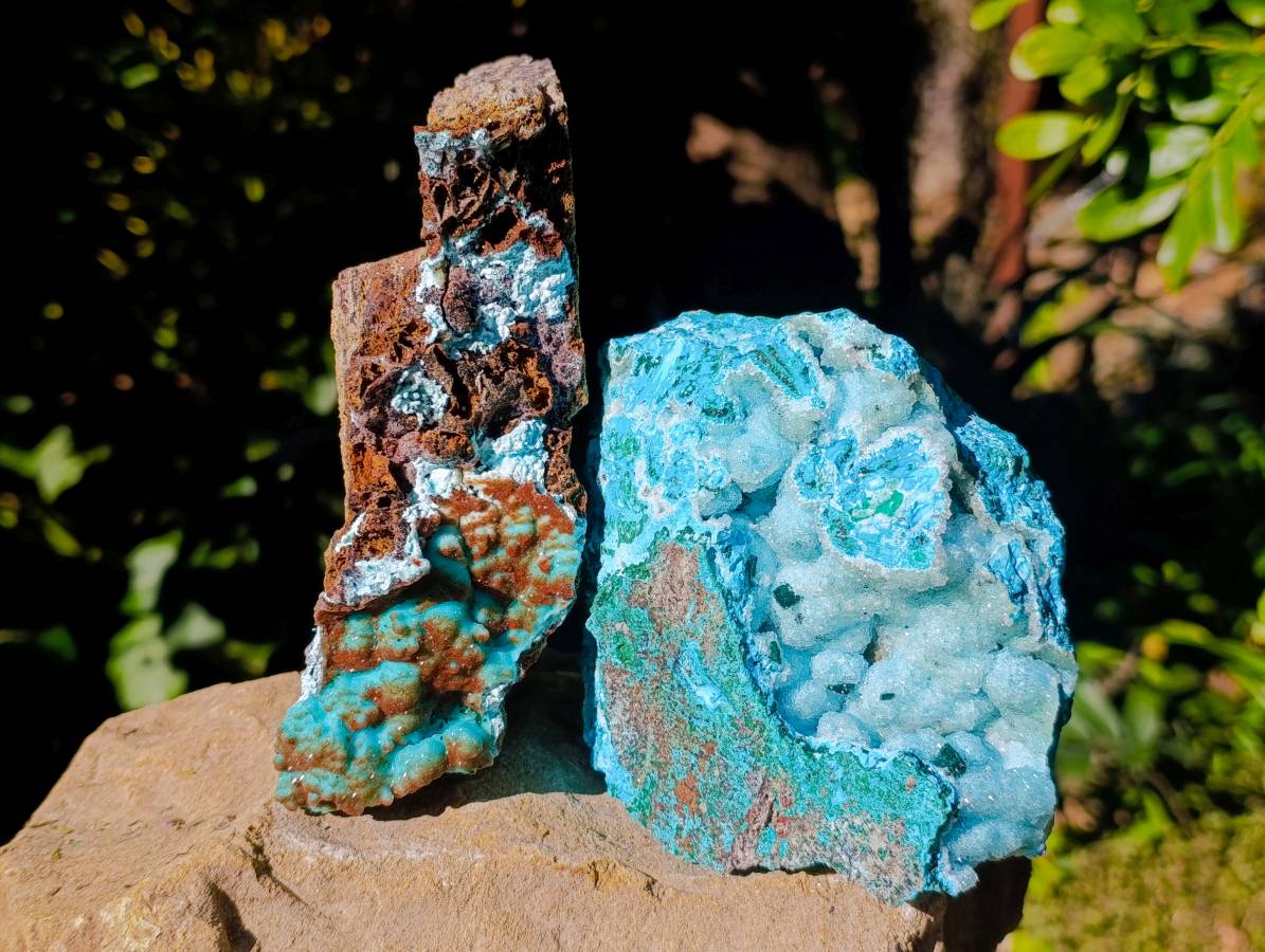 Natural Drusy Coated Chrysocolla with Malachite Specimens x 2 From Lupoto Mine, Congo - Toprock Gemstones and Minerals 