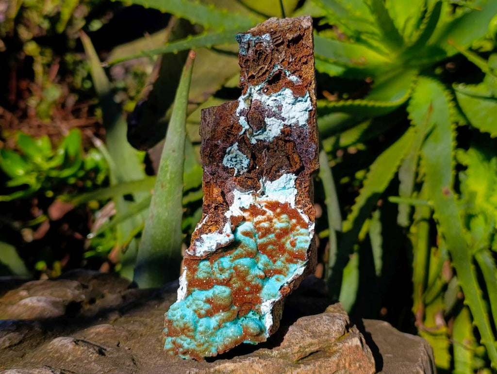 Natural Drusy Coated Chrysocolla with Malachite Specimens x 2 From Lupoto Mine, Congo - Toprock Gemstones and Minerals 