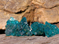 Natural Dioptase On Dolomite Specimens x 20 From Likasi, Congo - Toprock Gemstones and Minerals 